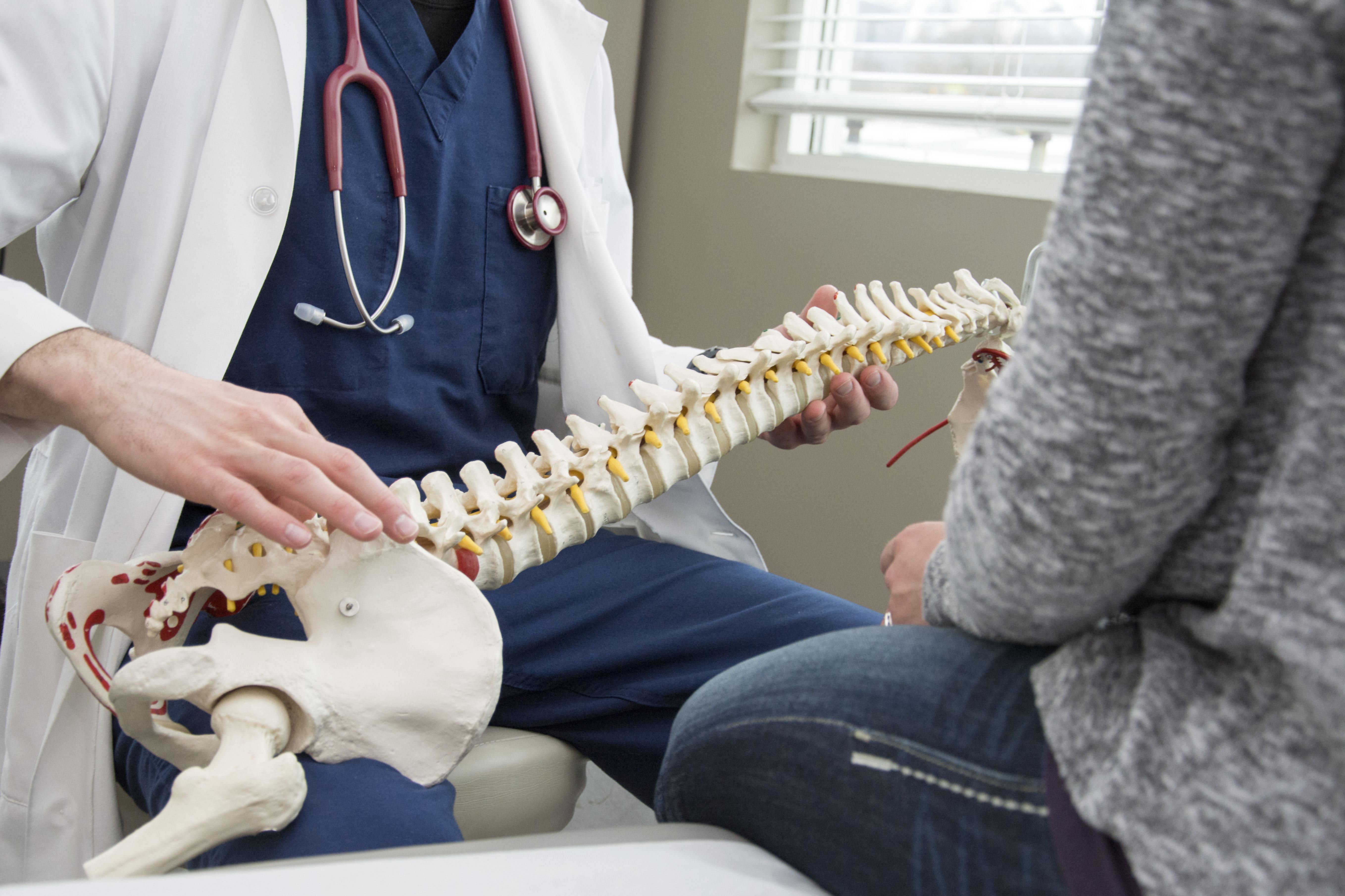 provider showing spine